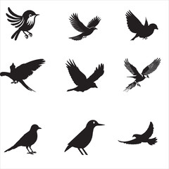 set of birds vector