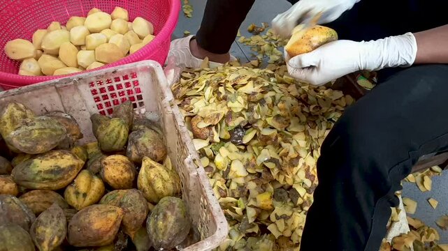 peeling the skin of mountain papaya or carica fruit with the Latin name Vasconcellea Cundinamarcensis