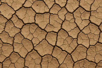 Cracked Earth Texture