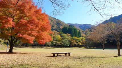 bench in autumn park