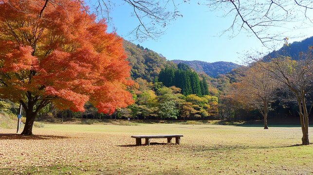 bench in autumn park