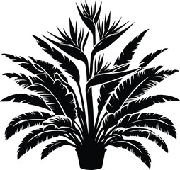 Tropical Plant landscape element vector illustration isolated on a white background