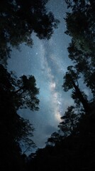 Fototapeta premium Milky Way Galaxy Shines Above Forest Canopy Low Angle View Night Sky Photography Starry Scene Nature Landscape