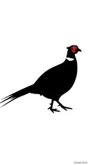 Crimson Crest Silhouette
