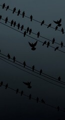 Twilight Chorus