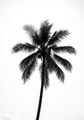 Monochrome Palm Majesty AI Generated