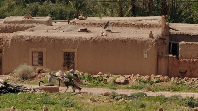 A Berber woman leads a donkey carrying bundles of grass along a dusty road past traditional Moroccan houses. This scene evokes a sense of rural life, simplicity, and cultural heritage.