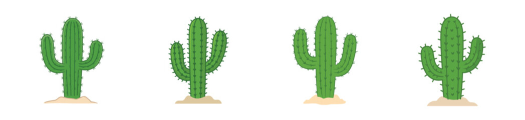 Green Cactus – Abstract Desert Plant on White Background