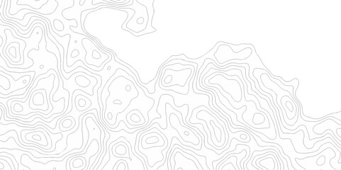 Abstract curve grid map and topo contour map white background. Topographic contour lines. Seamless pattern with lines Topographic map.	
