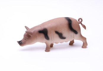 Toy plastic pig on white background