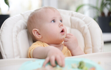 Cute little baby eats food from a plate at a table