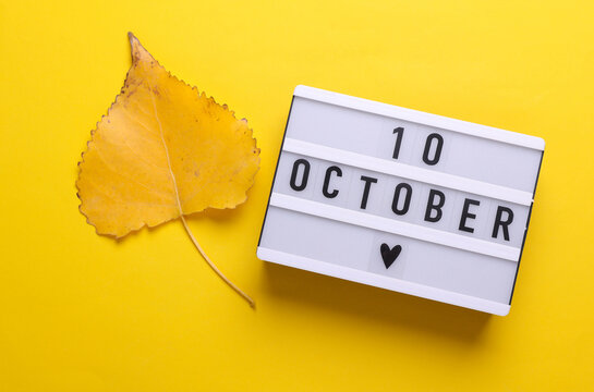 10 october letterboard text on LED Lightbox with autumn fallen leaves, yellow background. Seasonal calendar. Flat lay. Top view