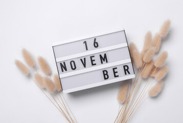16 november letterboard text on Lightbox with dry lagurus flowers, white background. Seasonal...