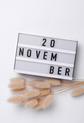 20 november letterboard text on Lightbox with dry lagurus flowers, white background. Seasonal...