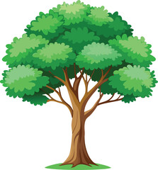 Tree with transparent trunk