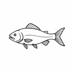 Fototapeta premium Simple monochrome drawing of a fish with defined lines and details on a white backdrop