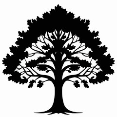 Half silhouette view of tree with leaves & visible branches on white background