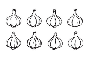 Garlic Bulbs line art and black color
