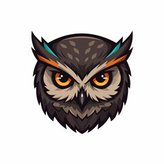 Focused vector illustration of a poised owl's face on a white background