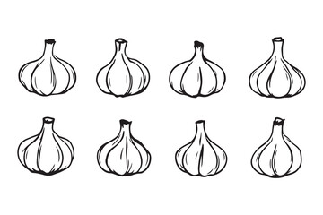 Garlic Bulbs line art and black color