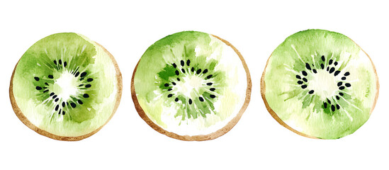 Fototapeta premium Fresh kiwi watercolor illustration isolated on transparent background