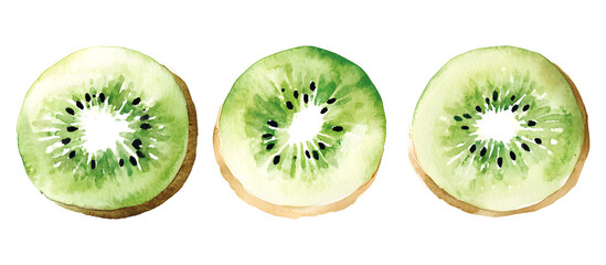 Fototapeta premium Fresh kiwi watercolor illustration isolated on transparent background