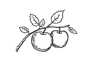 apple tree branch line art and black color 