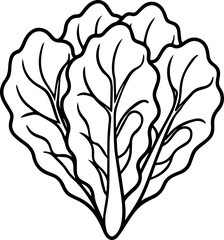 Swiss chard vegetable outline vector and illustration, coloring book page
