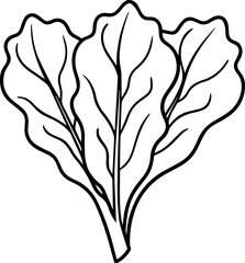 Swiss chard vegetable outline vector and illustration, coloring book page