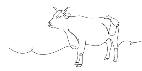 continuous single line art of a cow icon with transparent background. this icon is used for farm banners
