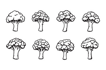 broccoli line art and black color 