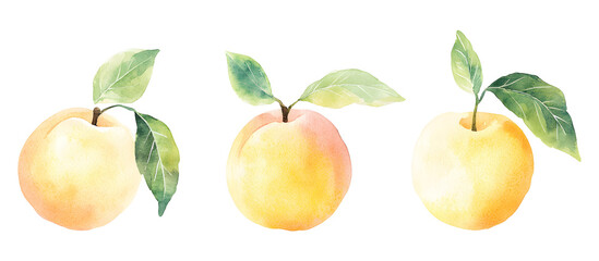 Obraz premium Fresh yellow peach watercolor illustration with leaves isolated on transparent background