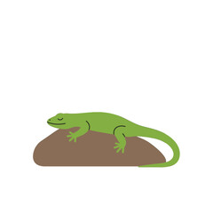 Cartoon Lizard Resting On Brown Rock