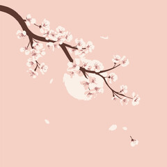 Cherry blossom branch on a spring background 