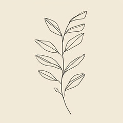 Minimalist Botanical Line Drawing of Leafy Twig on Beige Background
