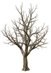 Obraz premium Winter's Embrace