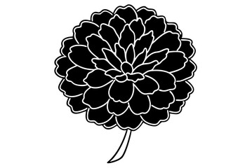 marigold flower  silhouette vector