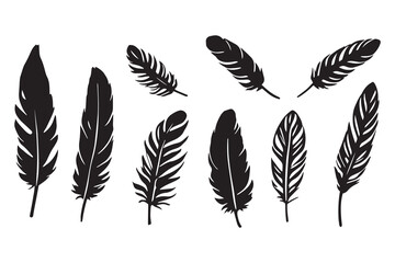 Obraz premium flying black feathers line art and black color