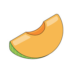 切ったメロンのイラスト