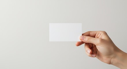 Fototapeta premium A Blank Canvas Held