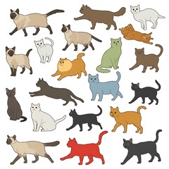 Obraz premium Feline Fiesta: A Purrfect Collection AI Generated