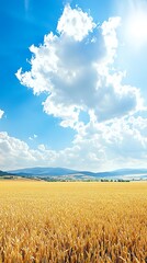 Golden field under a vibrant sky