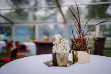 Elegant centerpiece with flowers, a light bulb, and potted plant on a round white table inside a transparent event tent with red chairs..