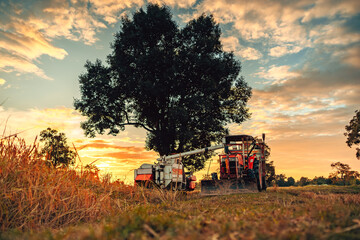 tractor and truck, one with a harvester attachment, work together during sunset in a rice field,...