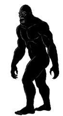 Fototapeta premium Shadow of the Forest Giant