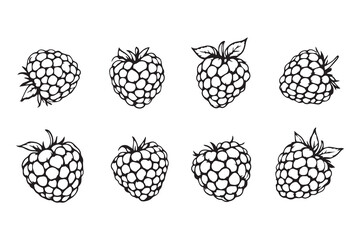 raspberries with leaves line art and black color