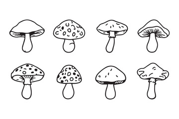 reishi mushroom line art and black color