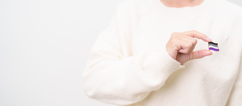 International Asexuality April Day and Happy Pride June month and LGBTQIA with flag Brooch pin for LGBTQ, Marriage Equality Law, Pansexual, Demisexual and transgender