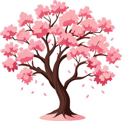 Japanese sakura tree