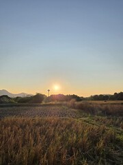 Obraz premium railroad tracks in countryside with blue sky in evening while sunlight is going down